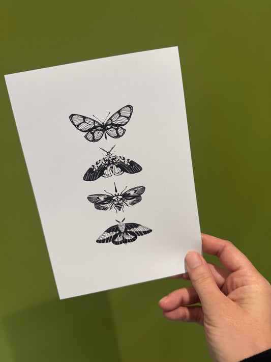 Moths - A5 Print